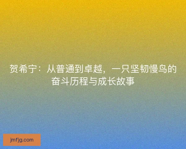 贺希宁：从普通到卓越，一只坚韧慢鸟的奋斗历程与成长故事