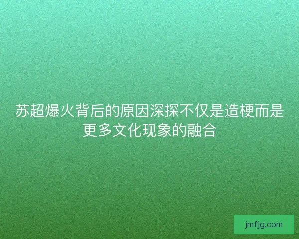 苏超爆火背后的原因深探不仅是造梗而是更多文化现象的融合